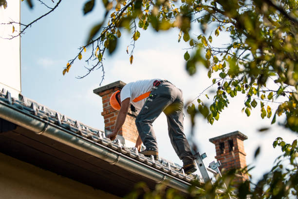 Roof Repair Estimates in Dawson, MN