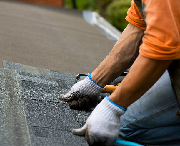 Best Local Roofing Companies  in Dawson, MN